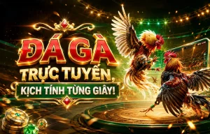 Sảnh đá gà utulafinancial